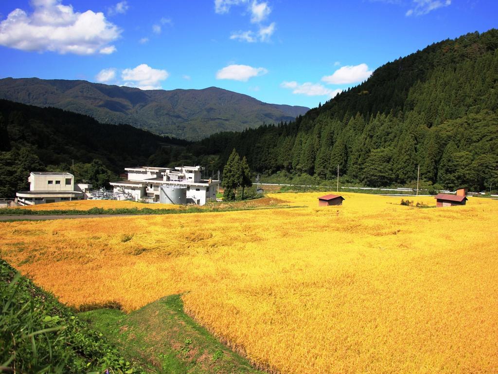 Chouchinya Hotel Nozawaonsen Eksteriør billede